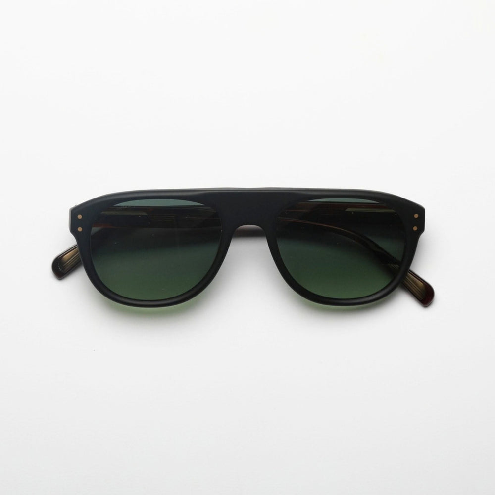 Matte Black &amp; Tortoise Temples