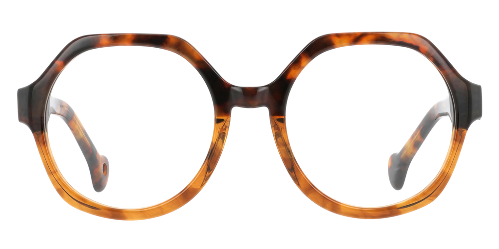 IRIS | ECBR | IRIS-ECBR-FACE.png