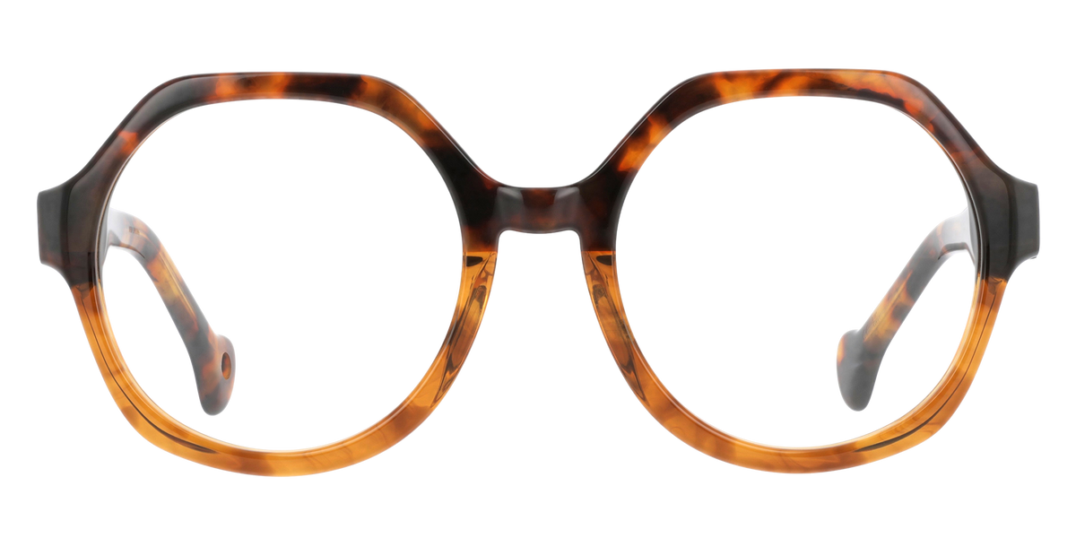 IRIS | ECBR | IRIS-ECBR-FACE.png