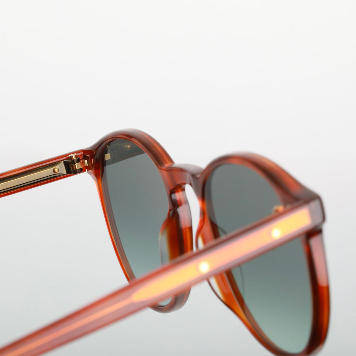 Steve McQueen Mike Sun — Light Tortoise — official view 3