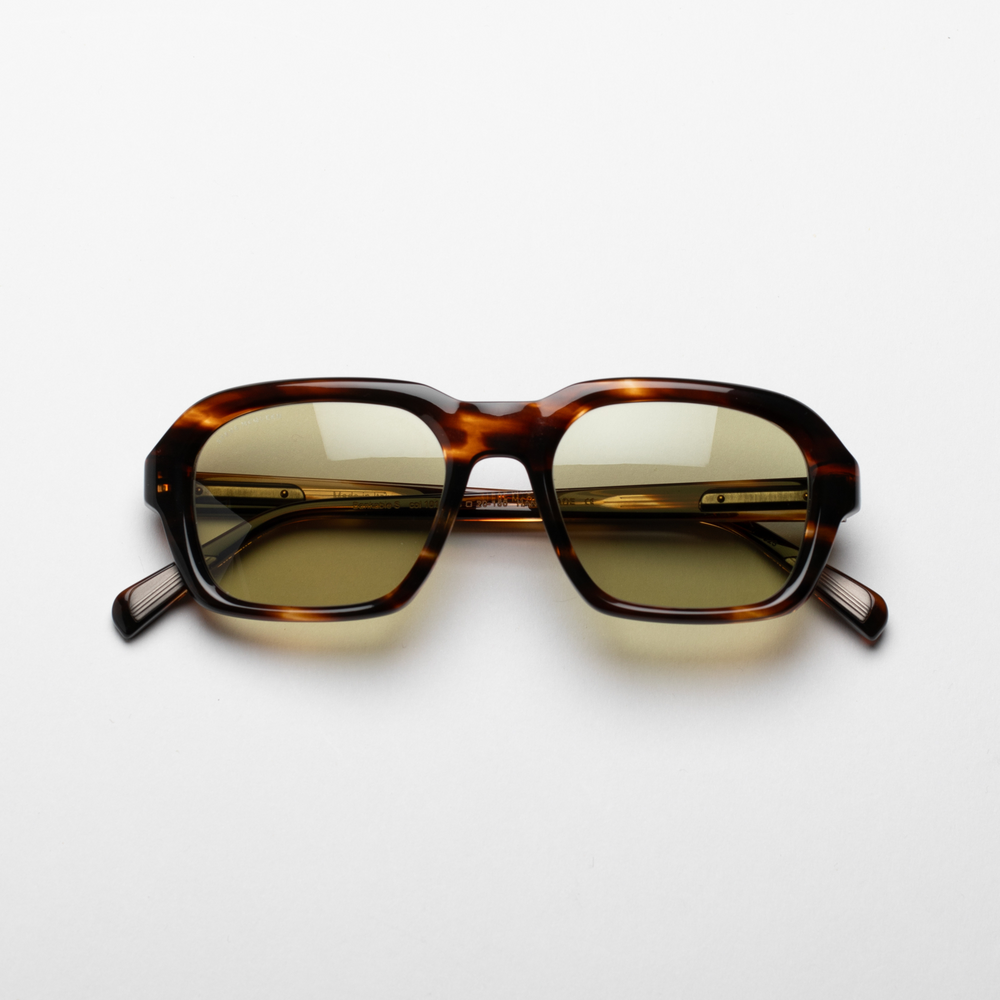 Dark Tortoise